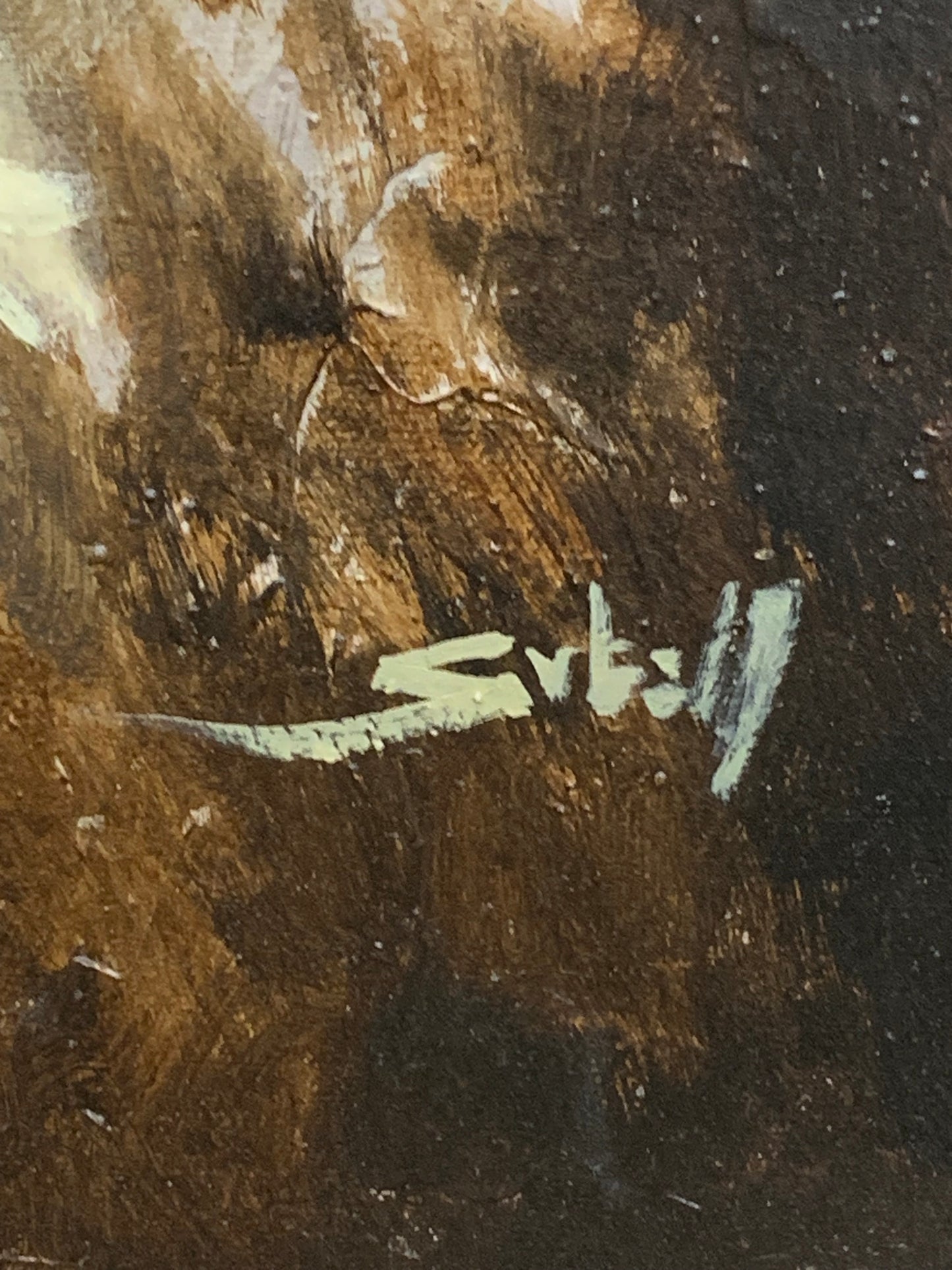 Curse of the Werewolf