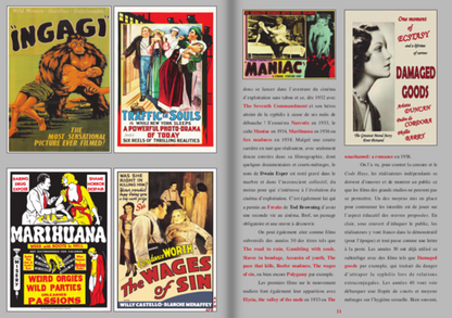Toutes les couleurs du bis no. 13