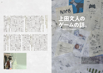 The world of Fumito Ueda